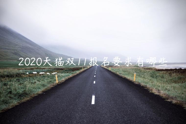 2020天貓雙11報(bào)名要求有哪些